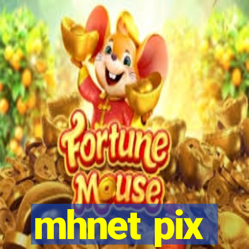 mhnet pix